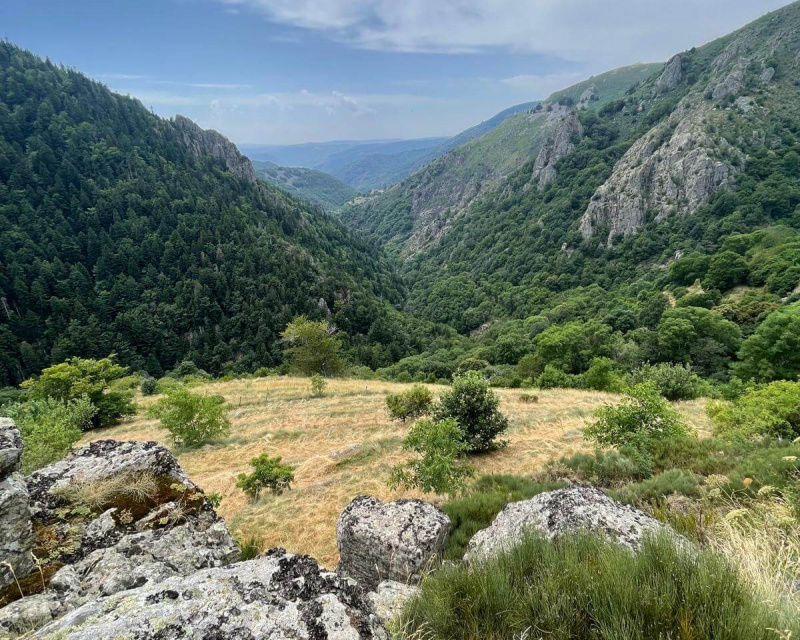 0c8f0c55-622c-4740-8296-ed9fdc2091e7