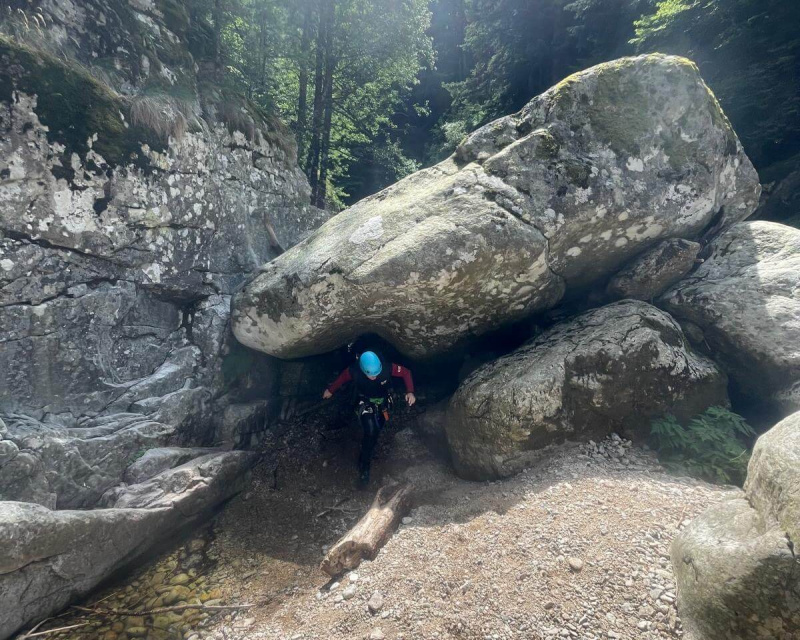 9aaeb3a7-350b-438d-8cf2-31837edd7f11