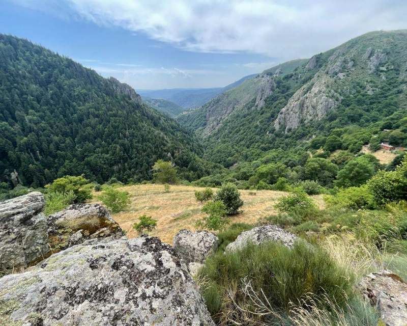 585d7dd0-4638-4d84-a9d9-8abc56355e9c