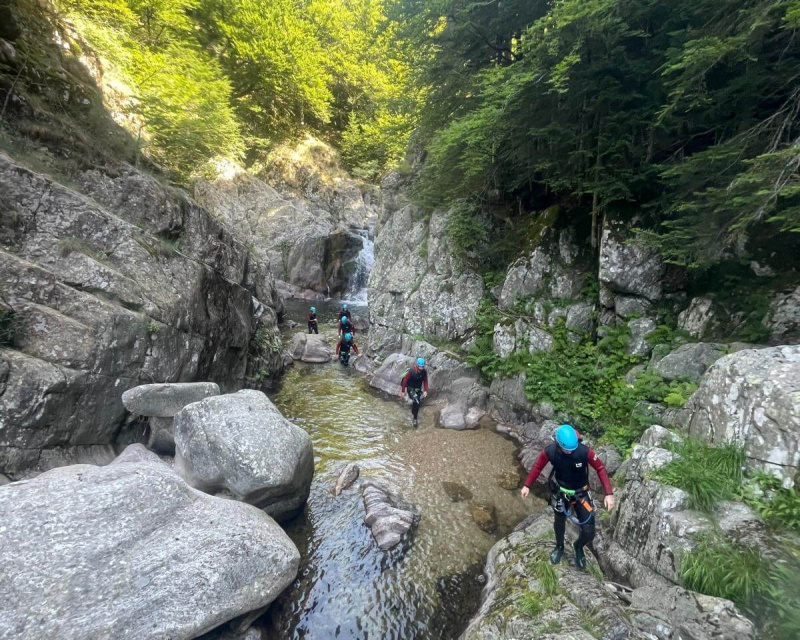 26cb02e3-6d6f-438b-a6b8-4d759a082ea1