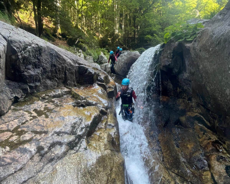 4e545fbf-0727-4197-b471-ae0e5cb399a8