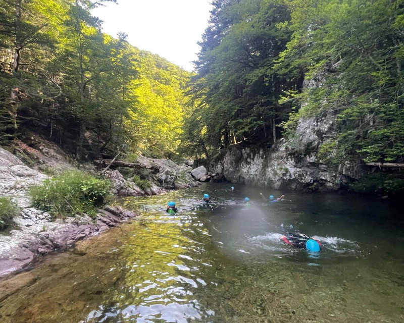 a7a0e2f2-cd32-4b52-ae35-b42ecd610a94