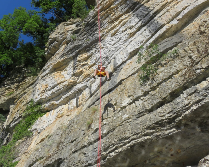 b848db90fcd44c245438a91119b4bae1