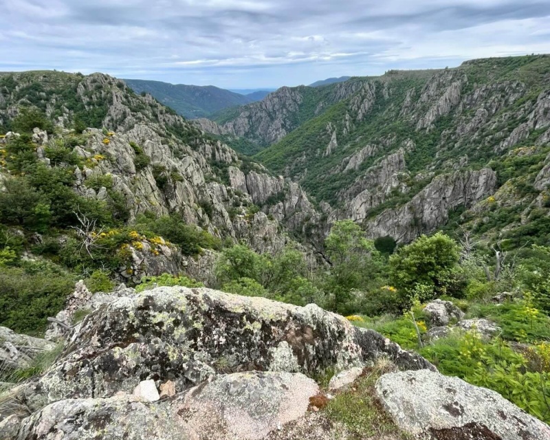 520b2a6c61b34a15eb74f80b1bcc42f5