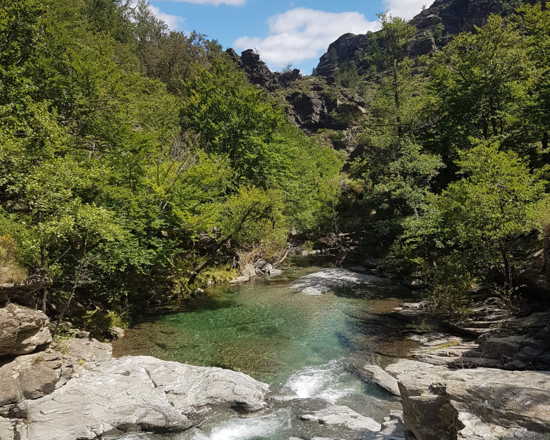 d602315adc9979684f6d805c62f204d5