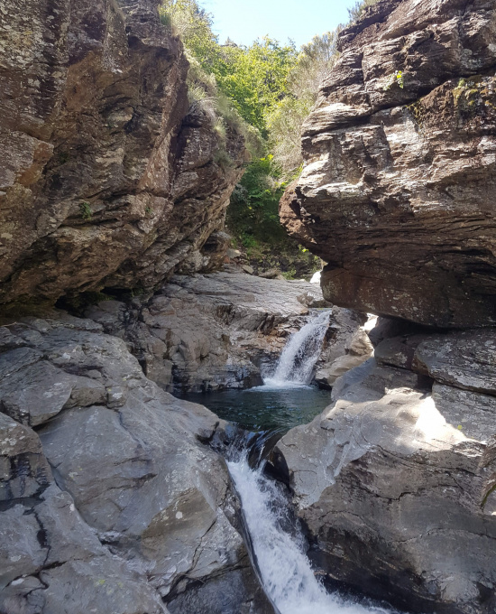 5c31abc9ec8e963f828bfd92b64f0b0f