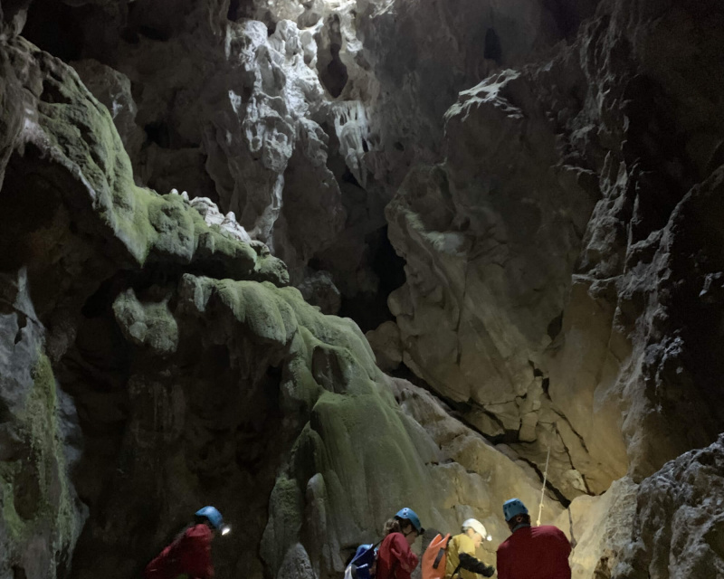 79610f6c508fdc9edefdc4931c617dc4