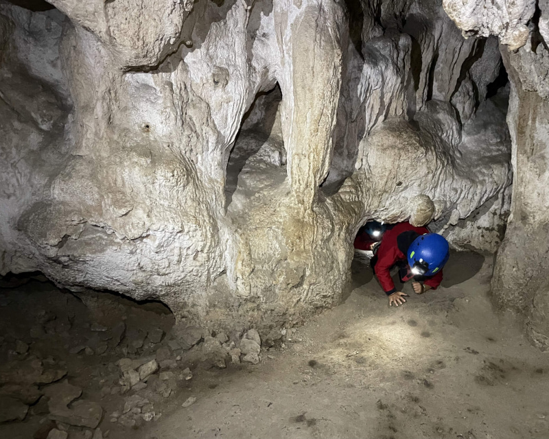 5e44ce6f994148e362eef4bf2b34aecd