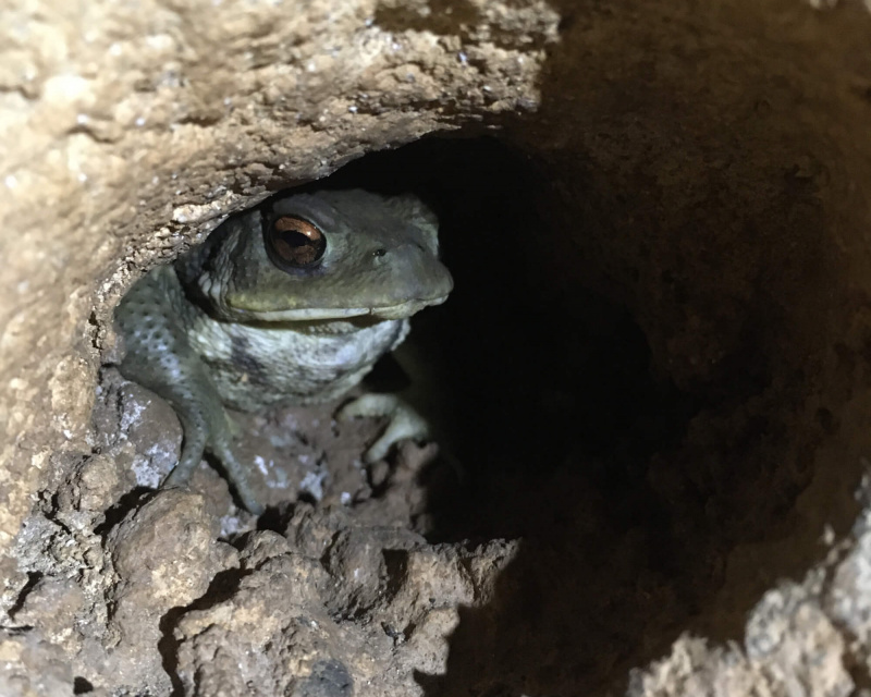 93da86451b3c6fea920b89f31a6a1199