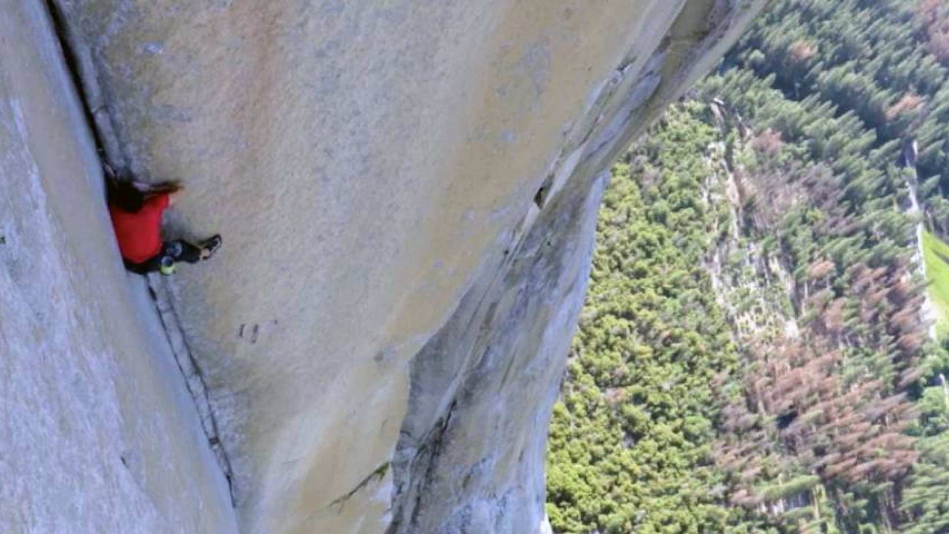 Ascension Yosemite, Alex Honnold réalise l'ascension